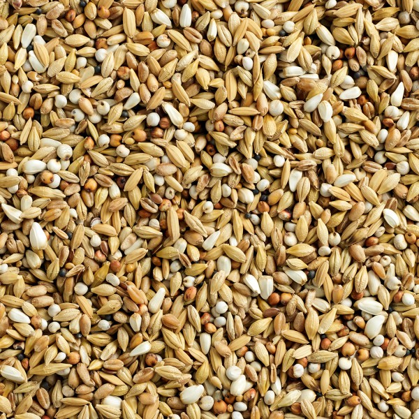 Natural Special Depurative
