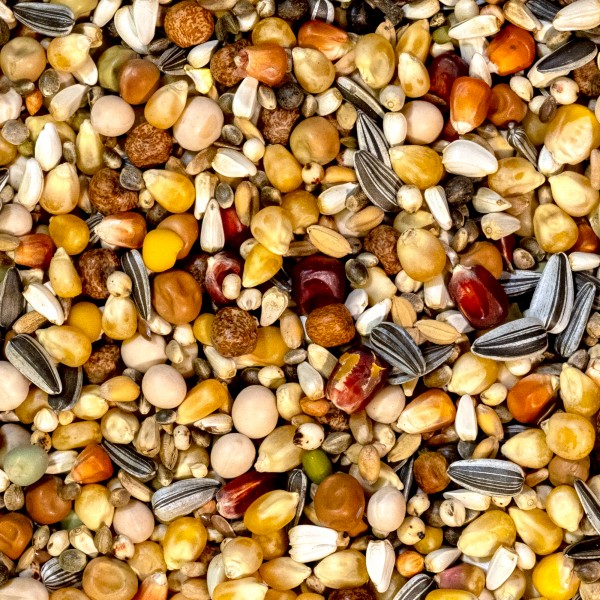 Natural Maxi Sport 3M Popcorn