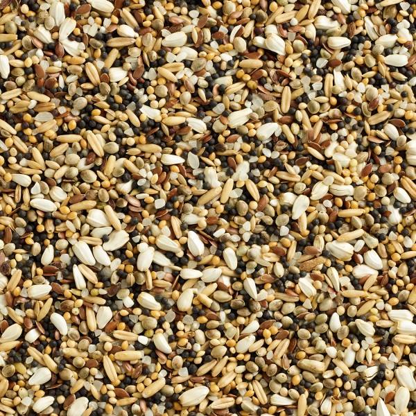 Natural Special Small Seed