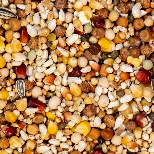 Natural Maxi Breeding 3M Popcorn