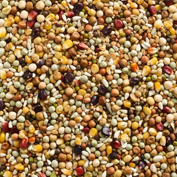 Natural Finesse Breeding