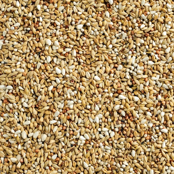 Natural Finesse Depurative