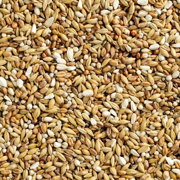 Natural Special Depurative Continental